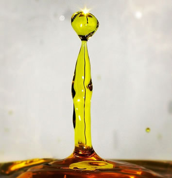 CBD Öl Extraktion
